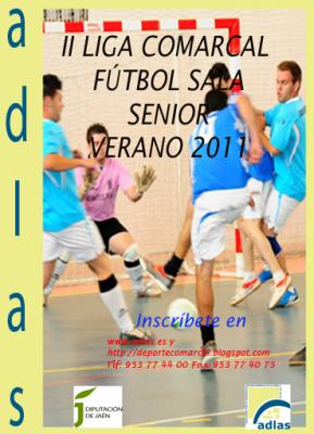 II Liga Comarcal Fútbol-Sala - Senior - Verano 2011
