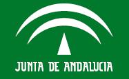 Convocatoria de la Beca Andalucía Segunda Oportunidad
